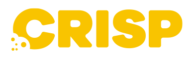 light logo